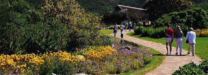 Kirstenbosch Gardens, Cape Town